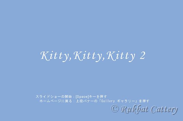 kitty2_title.jpg