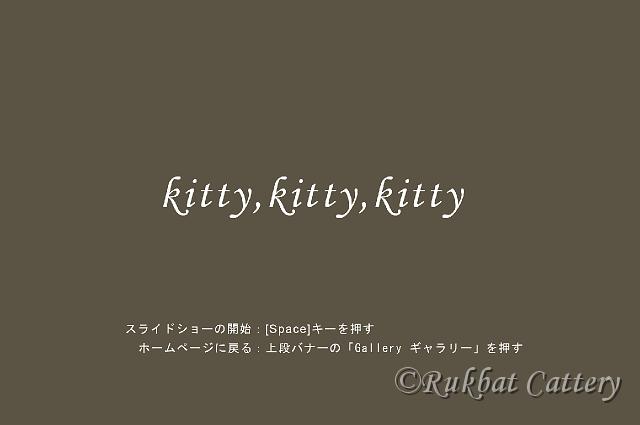 kitty_title.jpg